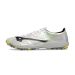 Chuteira Society Mizuno Alpha II Elite AS
