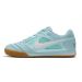 Chuteira Futsal NIKE SB Gato