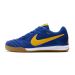 Chuteira Futsal NIKE SB Gato