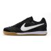 Chuteira Futsal NIKE SB Gato