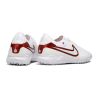Chuteira Society NIKE Tiempo Legend 10 Pro Chromatic