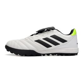 Produto Relacionado - Chuteira Society ADIDAS Copa Gloro