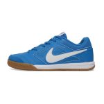 Chuteira Futsal NIKE SB Gato